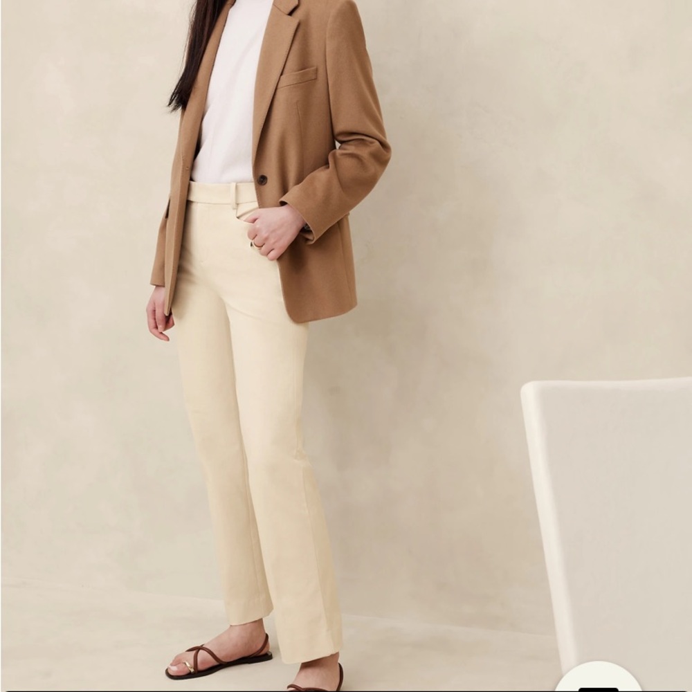 Banana Republic Straight Sloan Pants
